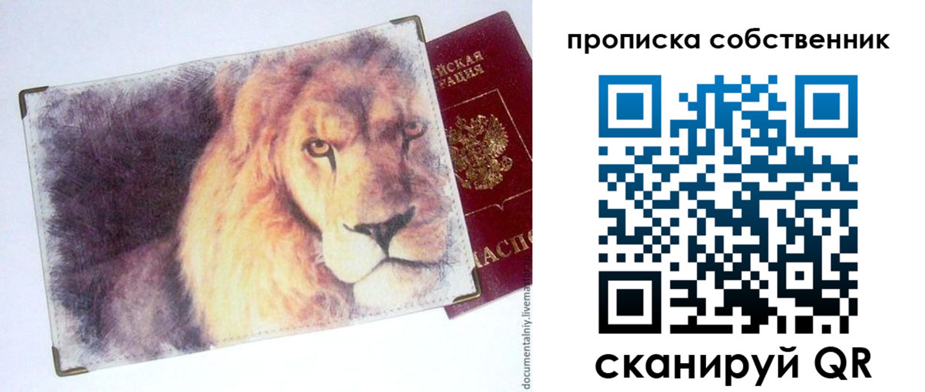 временная прописка в Болотном
